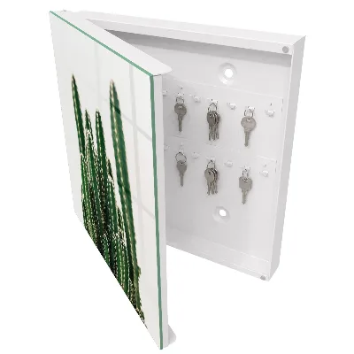 Cutii pentru chei Cactuși verzi