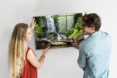 Tablă magnetică din sticla Cascada de pădure