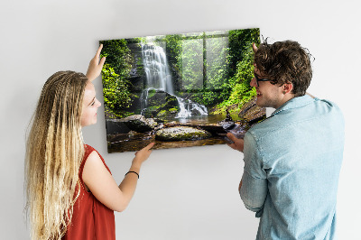 Tablă magnetică din sticla Cascada de pădure