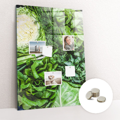 Tablă magnetică perete Salată verde suculentă