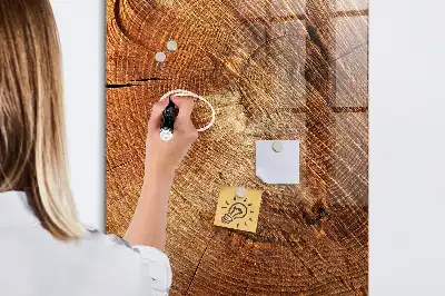 Tablă de desenat magnetică cu model secțiune transversală de trunchi