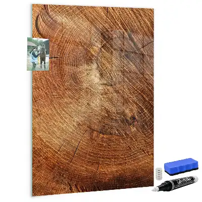 Tablă de desenat magnetică cu model secțiune transversală de trunchi