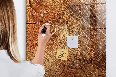 Tablă de desenat magnetică cu model secțiune transversală de trunchi