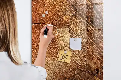 Tablă de desenat magnetică cu model secțiune transversală de trunchi