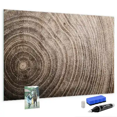 Tablă magnetică pentru desen cu model trunchi de copac