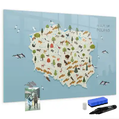 Tablă magnetică cu ștergere uscată cu harta animalelor din Polonia