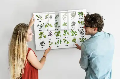 Tablă magnetică cu ștergere uscată cu tema Tipuri de copaci
