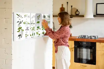 Tablă magnetică cu ștergere uscată cu tema Tipuri de copaci