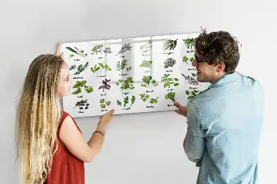 Tablă magnetică cu ștergere uscată cu tema Tipuri de copaci