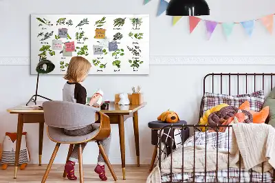 Tablă magnetică cu ștergere uscată cu tema Tipuri de copaci