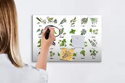 Tablă magnetică cu ștergere uscată cu tema Tipuri de copaci