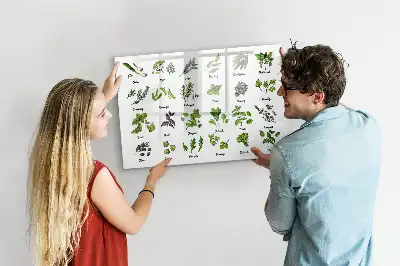 Tablă magnetică cu ștergere uscată cu tema Tipuri de copaci