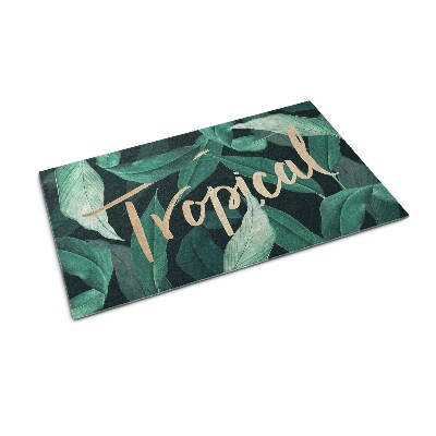 Covoras intrare Frunze tropicale