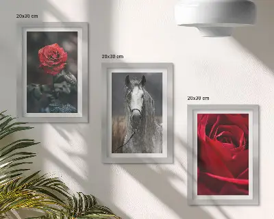 Set 3 tablouri cu trandafiri roșii și un cal, în ramă gri