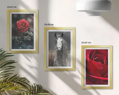 Set 3 tablouri cu trandafiri roșii și un cal, în ramă gri