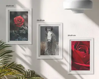 Set 3 tablouri cu trandafiri roșii și un cal, în ramă gri