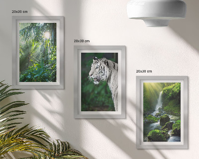 Galerie de perete Junglă cu un tigru alb și o cascadă sălbatică