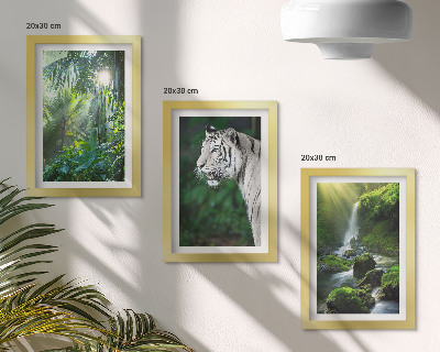Galerie de perete Junglă cu un tigru alb și o cascadă sălbatică
