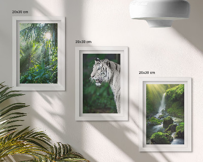 Galerie de perete Junglă cu un tigru alb și o cascadă sălbatică