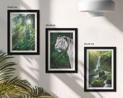 Galerie de perete Junglă cu un tigru alb și o cascadă sălbatică
