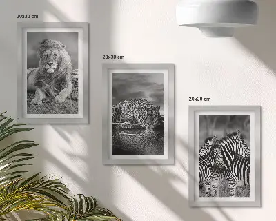 Set de 3 tablouri animale sălbatice din savană cu leu, jaguar și zebră