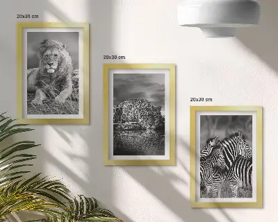 Set de 3 tablouri animale sălbatice din savană cu leu, jaguar și zebră