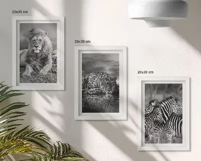 Set de 3 tablouri animale sălbatice din savană cu leu, jaguar și zebră