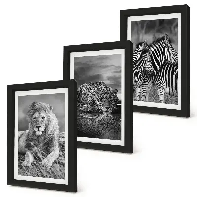 Set de 3 tablouri animale sălbatice din savană cu leu, jaguar și zebră