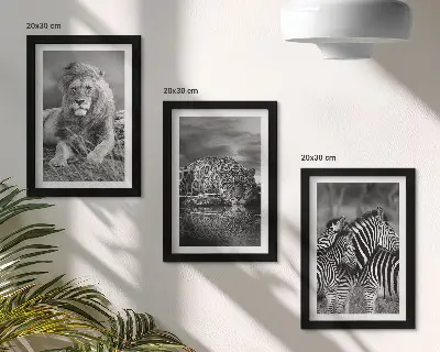 Set de 3 tablouri animale sălbatice din savană cu leu, jaguar și zebră