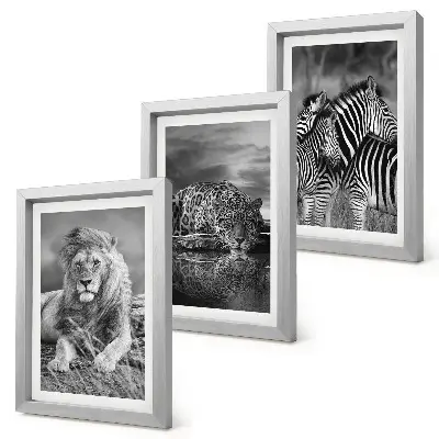 Set de 3 tablouri animale sălbatice din savană cu leu, jaguar și zebră