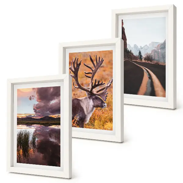 Set 3 tablouri cu peisaje montane, reni și drum în natură