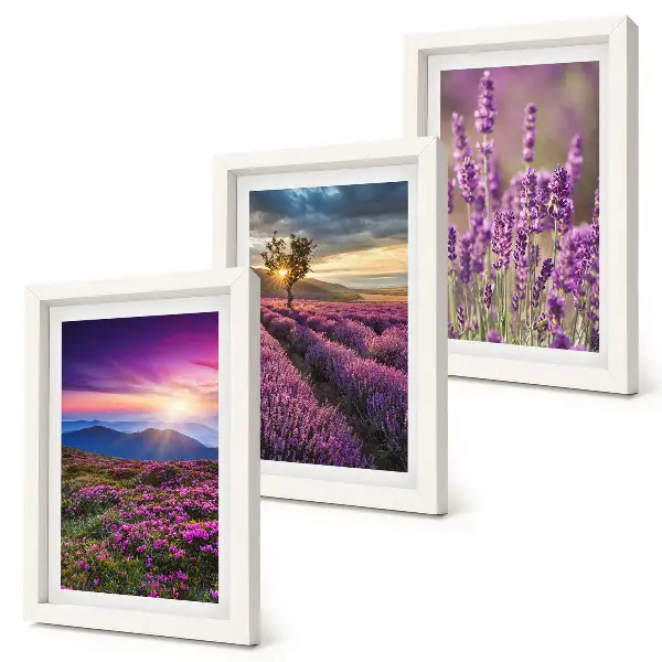 Set 3 tablouri cu peisaj reprezentând câmpuri de lavandă și apus de soare