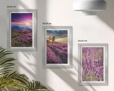 Set 3 tablouri cu peisaj reprezentând câmpuri de lavandă și apus de soare