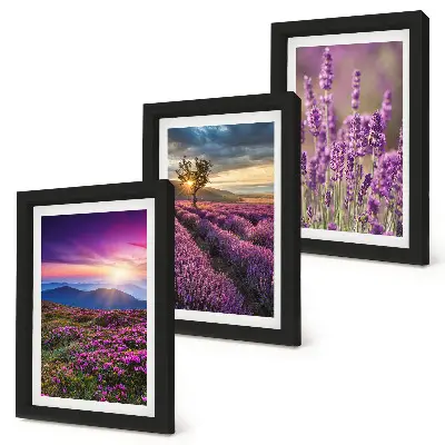 Set 3 tablouri cu peisaj reprezentând câmpuri de lavandă și apus de soare