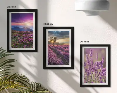 Set 3 tablouri cu peisaj reprezentând câmpuri de lavandă și apus de soare