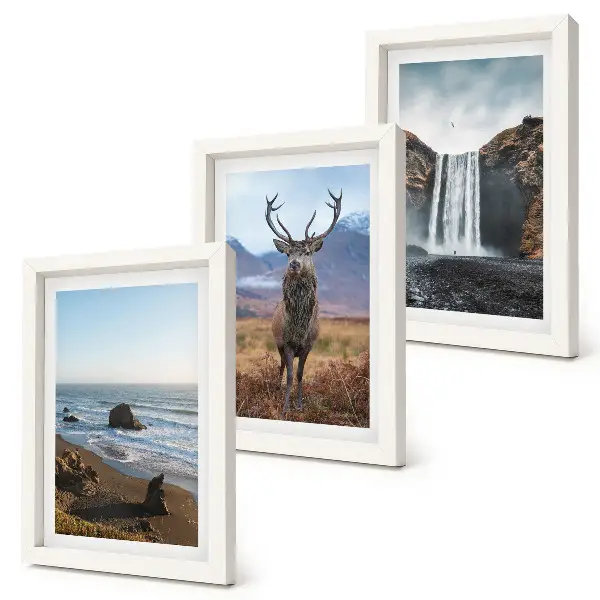 Set de 3 tablouri peisaje montane cu cascadă, căprioară și plajă
