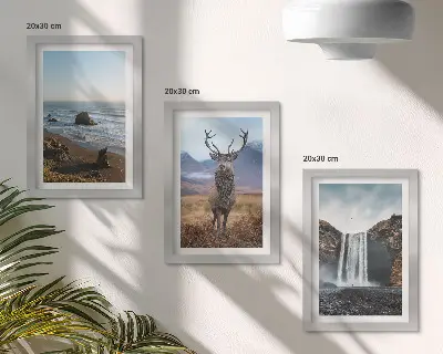 Set de 3 tablouri peisaje montane cu cascadă, căprioară și plajă