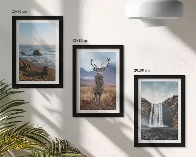 Set de 3 tablouri peisaje montane cu cascadă, căprioară și plajă