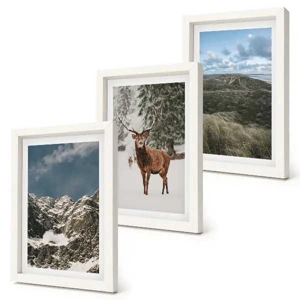 Galerie de perete munți cu zăpadă, căprioare în pădure și peisaje