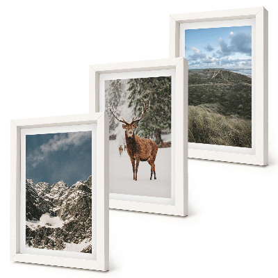Galerie de perete Munți cu zăpadă, căprioare în pădure, peisaje