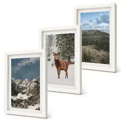 Galerie de perete munți cu zăpadă, căprioare în pădure și peisaje