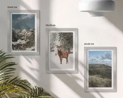 Galerie de perete munți cu zăpadă, căprioare în pădure și peisaje