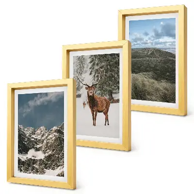 Galerie de perete munți cu zăpadă, căprioare în pădure și peisaje