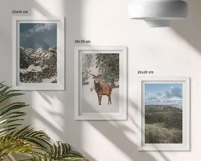 Galerie de perete munți cu zăpadă, căprioare în pădure și peisaje