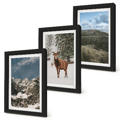 Galerie de perete Munți cu zăpadă, căprioare în pădure, peisaje