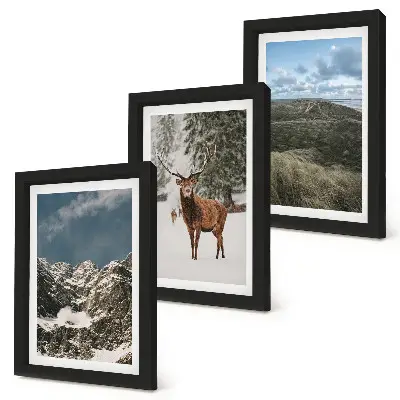 Galerie de perete munți cu zăpadă, căprioare în pădure și peisaje