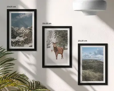 Galerie de perete munți cu zăpadă, căprioare în pădure și peisaje