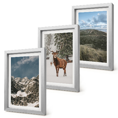 Galerie de perete Munți cu zăpadă, căprioare în pădure, peisaje