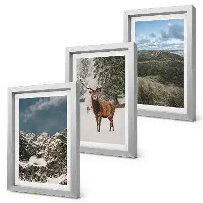Galerie de perete munți cu zăpadă, căprioare în pădure și peisaje
