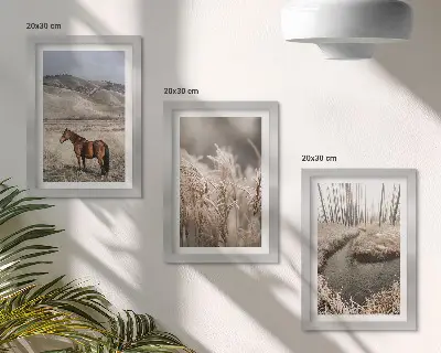 Set 3 tablouri cu cai într-un peisaj de ierburi și un pârâu de iarnă